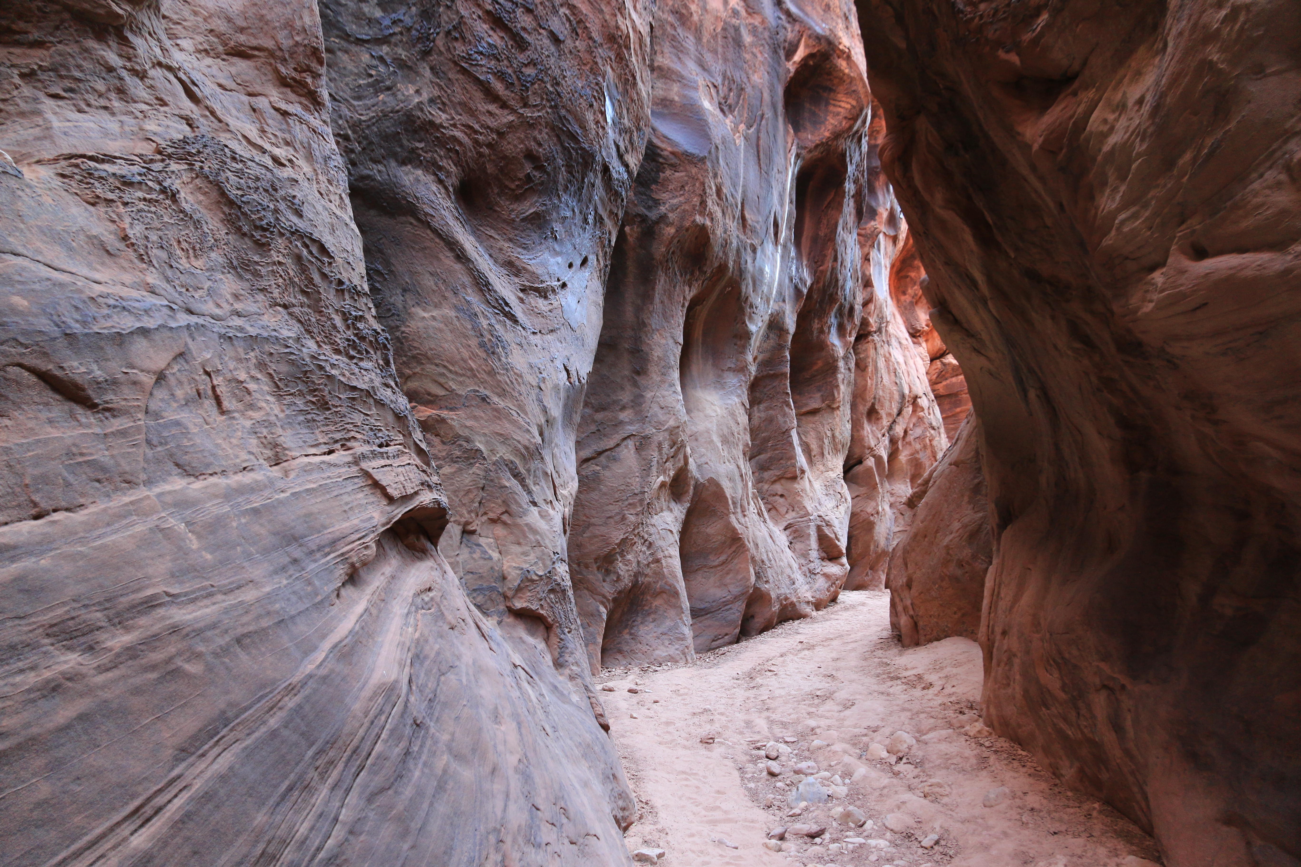 Vermillion Cliffs NM